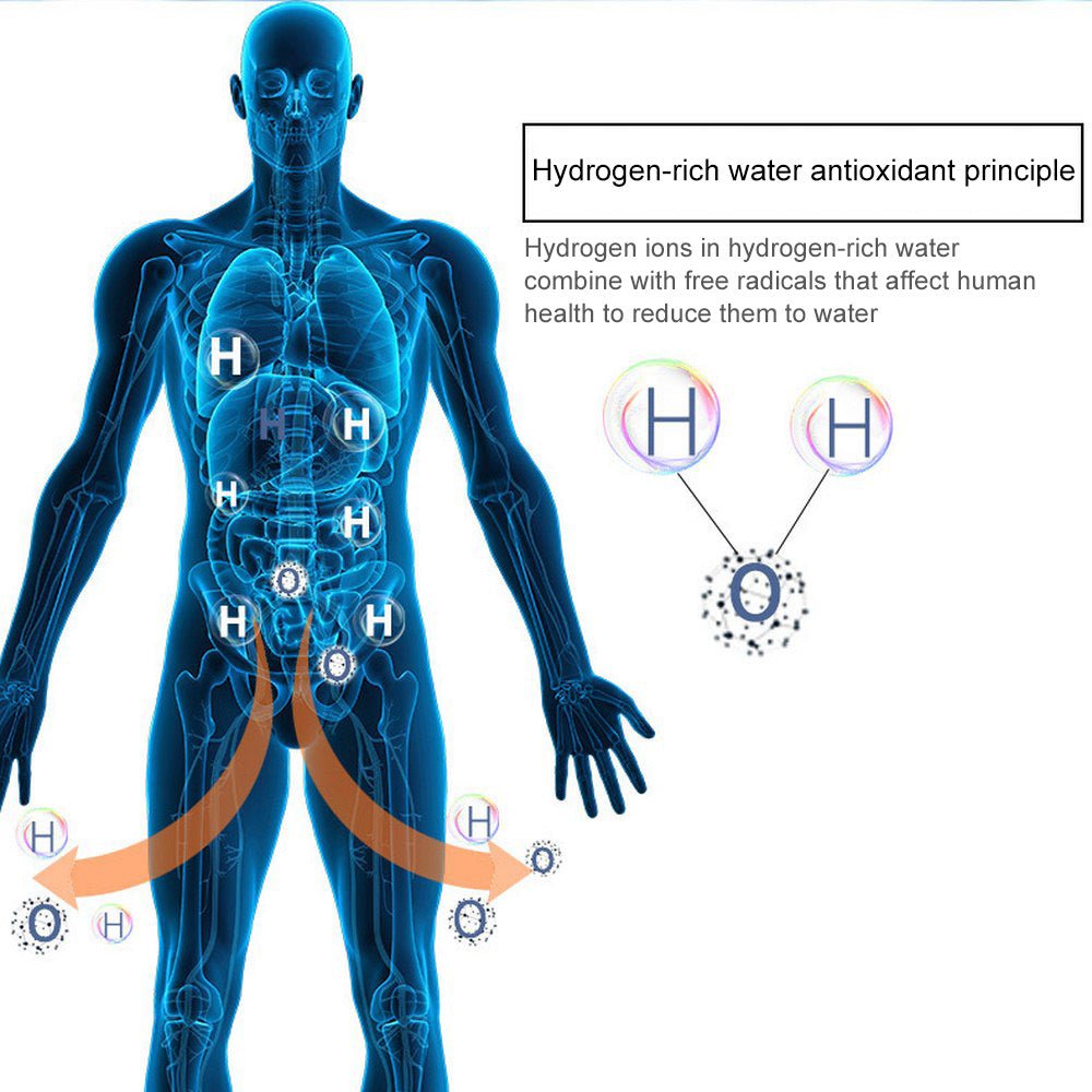 Hydrogen Water Generator Bottle - Gadgets4Cribs