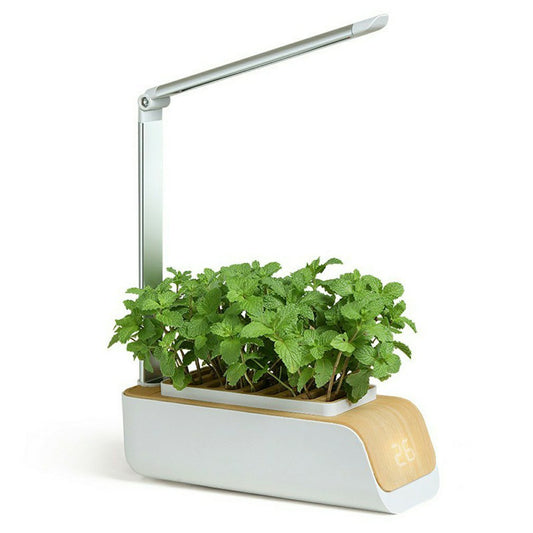 Hydroponics Growing SystemFEATURES:


VEGETABLE PLANTING MACHINE: Fashionable technology + green and environmentally friendly intelligent creative flower pots make your life more fun. This isHome Gadgetsgadgets4cribsGadgets4CribsHydroponics Growing System